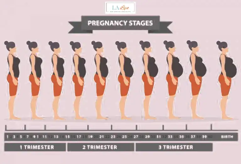 First Trimester (Weeks 1–12): Early Changes You Might Not Notice Blackheath